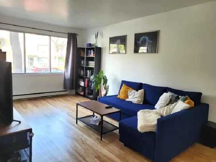 4 1/2 appartement lumineux à Villeray