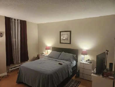 Roommate