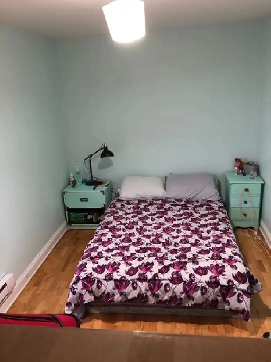 2 Bedroom Apartment Heat/Lights Included