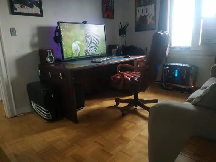 Photo 6