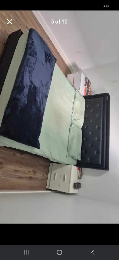 New Basement for rent in Maple crest