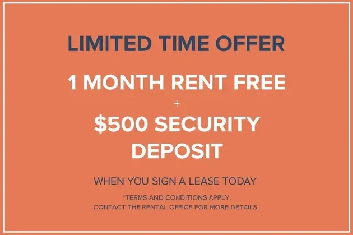 Axir Apartments - 1 Bedroom available at 2590 Lonsdale Avenue, N