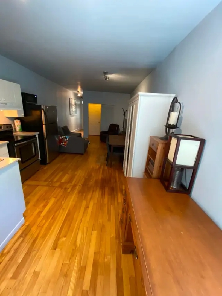 Plateau 3 1/2 meublé tout inclus (furnished, hydro, WiFi, A/C)
