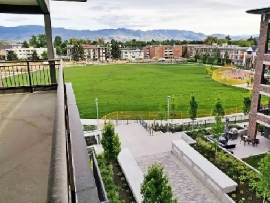 Penthouse Condo - Central Green One