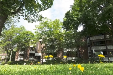 1 1/2 Ste-Foy - Tout inclus - près du cégep Garneau - 1er août