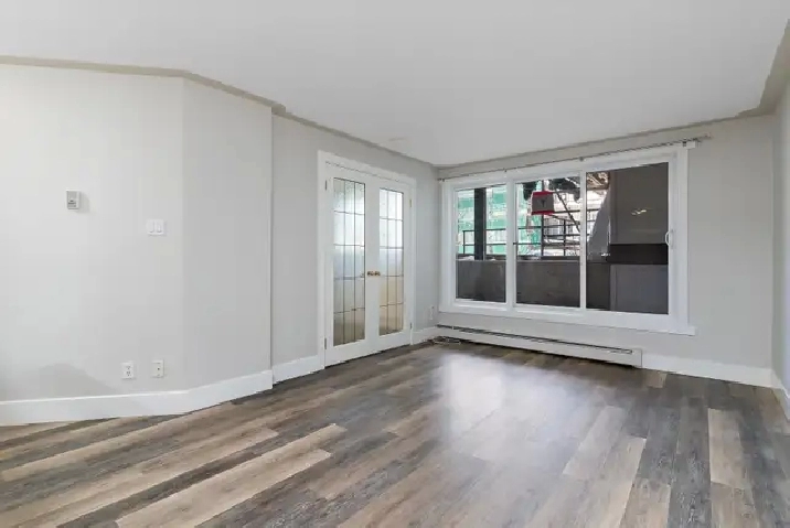 Renovated 1-Bedroom Condo
