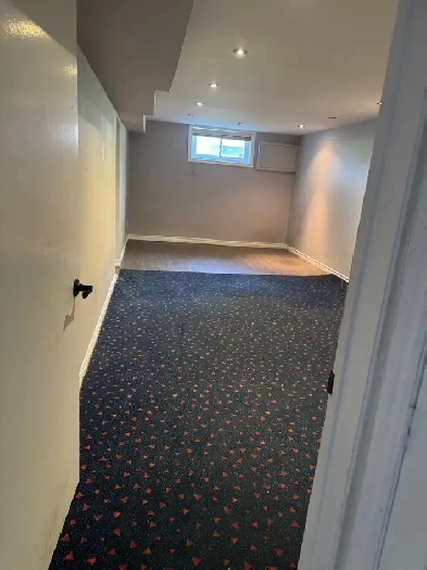 Large shared bedroom basement apt in Bayview Village for rent