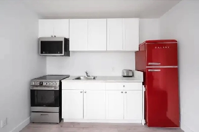 Furnished 1 Bedroom - Downtown