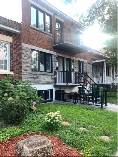 5 1/2 bedroom basement apartment fully renovated!