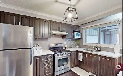 1 Bed, 1 Bath - Beautiful & Bright