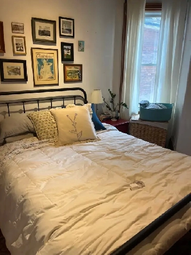 Annex 3 Bdrm c Lge Living Room by Dupont subway