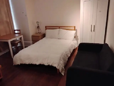 Large furnished room downtown available immediately- female only
