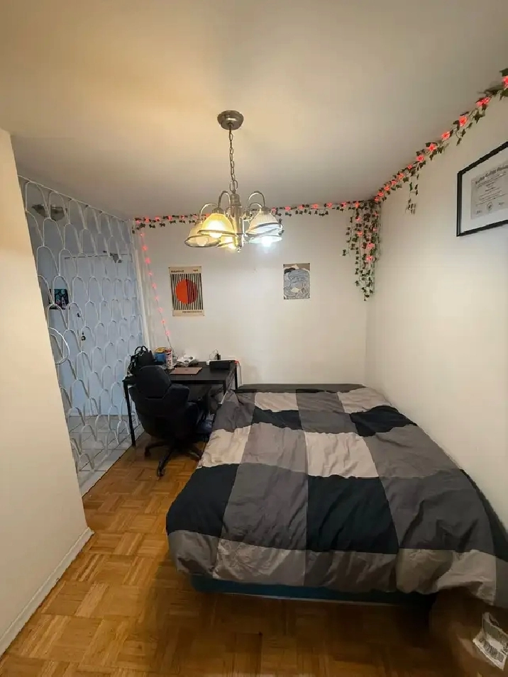 1 x Bedroom Apt, Furnished, from August 1st, Amazing Location