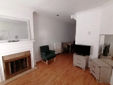 Furnished Large 1 Bedroom Apt - ground floor of a house, in-unit