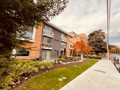 SUITE FOR RENT IN BEAUTIFUL RENOVATED BUILDING