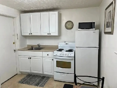 Bright Fully Furnished Bachelor Apt for Rent