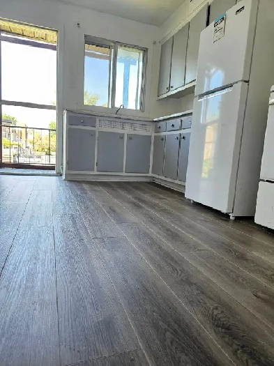 Newly renovated 2 bedrooms apt for rent in LaSalle available now