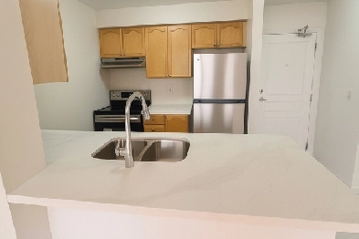 1 Bedroom Condo Brampton All Utilities Included   Parking