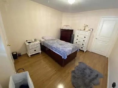 PRIVATE ROOM BRAMPTON FURNISHED M/F BUS STOP