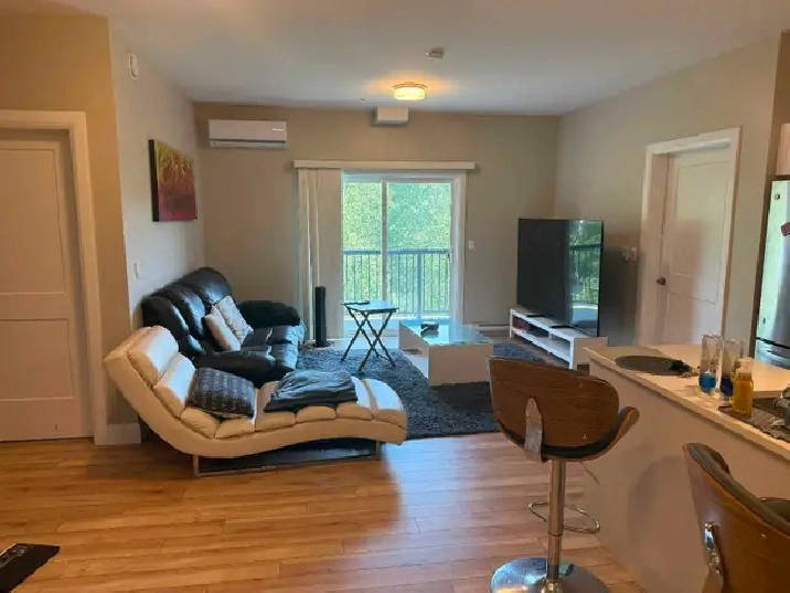 One Room in a 2Bedroom Apartment