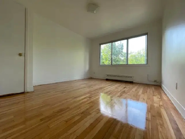 4 1/2 beau renove Juillet inclus chauffage/l'eau chaude Rosemont