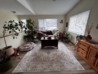 3 Bedroom Home in Takhini