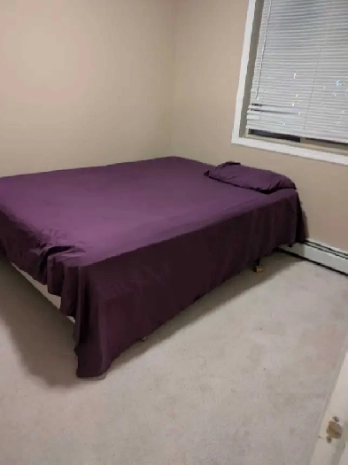 seeking female roommate. includes own washroom in Saddletown