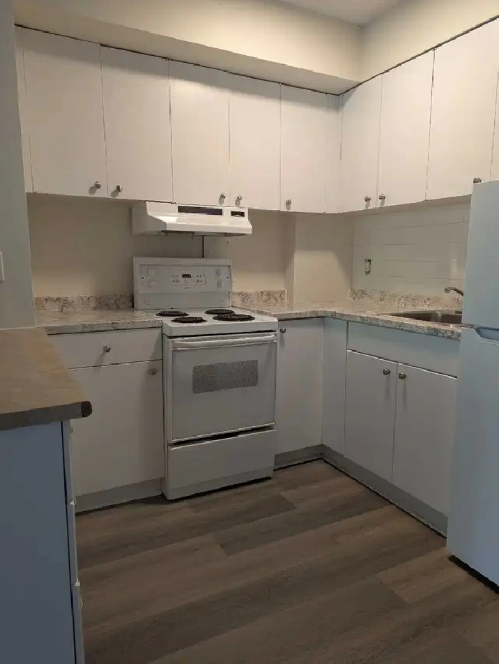 one bedroom apartment