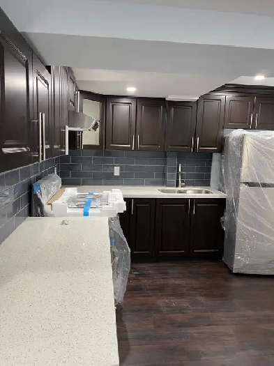 2 bedroom basement for rent (Mayfeild/Dixie)