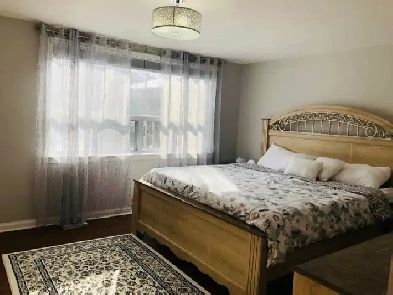 walk out 2 bedroom basement for rent