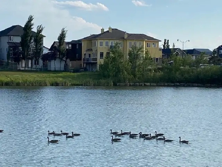 5-bedroom, 4 Bath large Executive house on lake   Park, bright