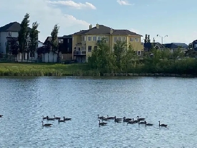 5-bedroom, 4 Bath large Executive house on lake   Park, bright