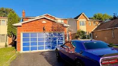 golden opportunity - 1 BR basement 4 rent (price of a single roo