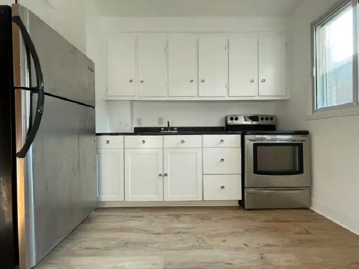 beau, rénové 4 1/2 , 2 bedrooms disponible immediate Rosemont