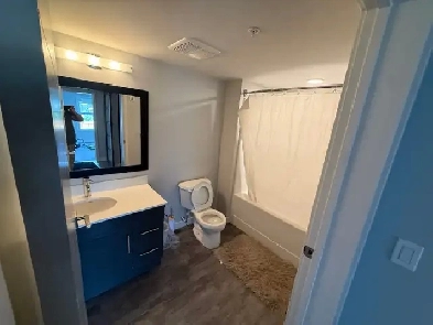 Single Roommate Wanted