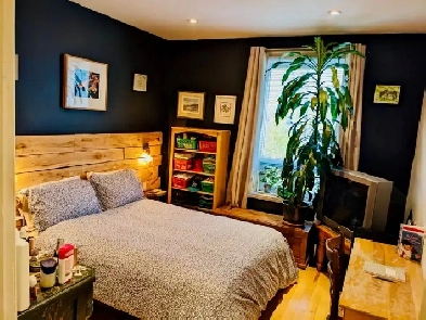 Magnifique rez-de-chaussée 41/2 à Rosemont avec cour