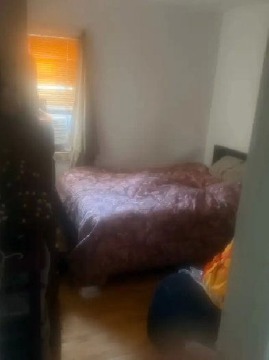 chambre à louer