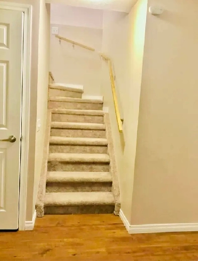 House for rent