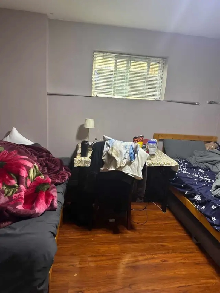 1 Bedroom 1 Bath Basement for Rent