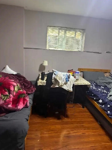 1 Bedroom 1 Bath Basement for Rent