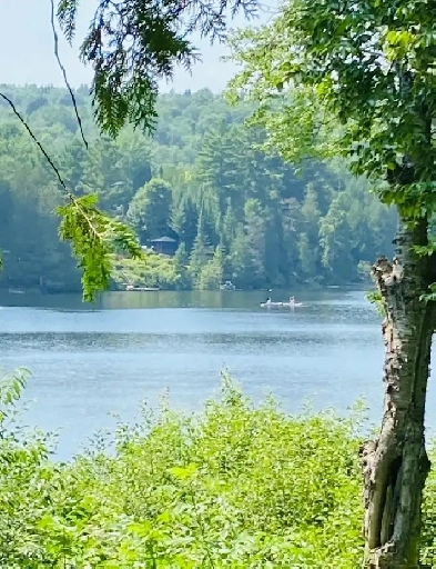 Trailer Home Lake Side Retreat for Sale
