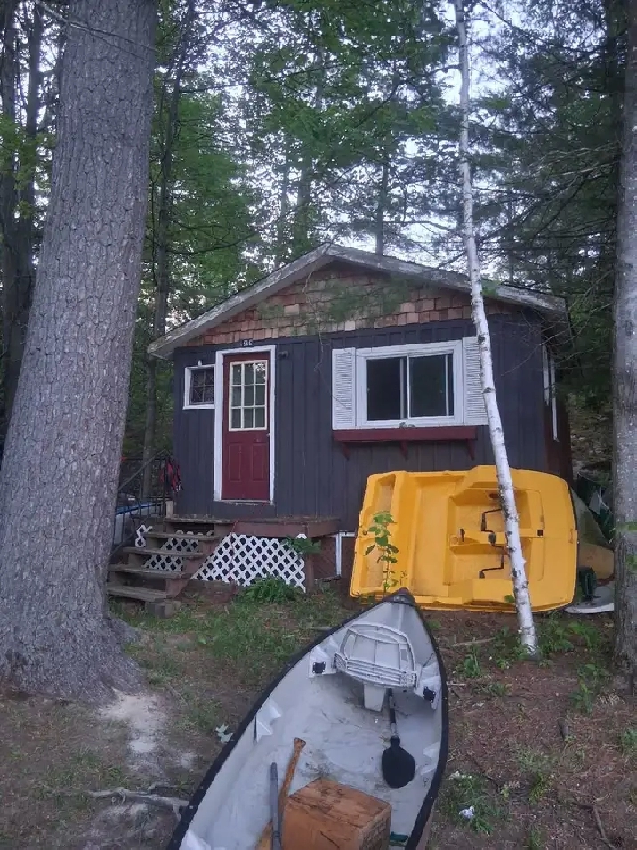 Bunkie for rent
