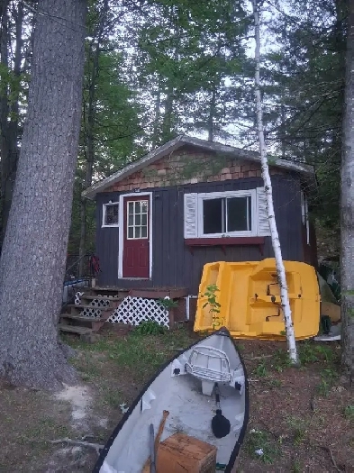 Bunkie for rent