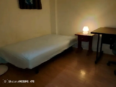 Large furnished room in basement in Markham