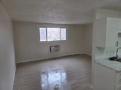 1 bedroom apartment for rent  204-998-8440