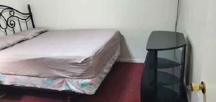 1 BEDROOM BASEMENT AVAILABLE IN SCARBOROUGH