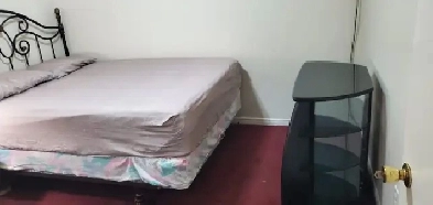 1 BEDROOM BASEMENT AVAILABLE IN SCARBOROUGH