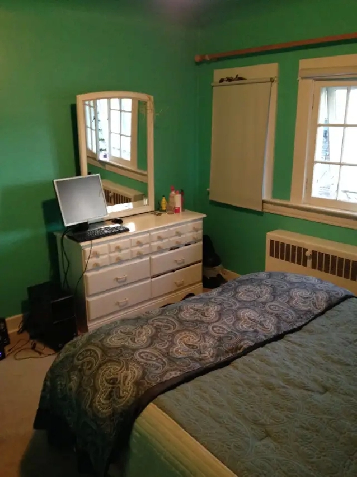 U of A Beautiful Room for Rent