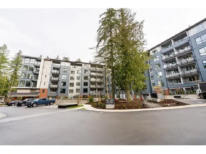 2-Bedroom Condo in South Surrey's King   Crescent