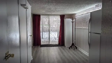 Studio Basement Apartment for Rent (McCowan & Finch)